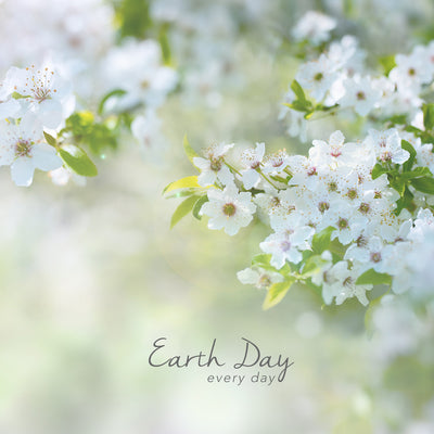 Earth Day:  Celebrate All Year Long